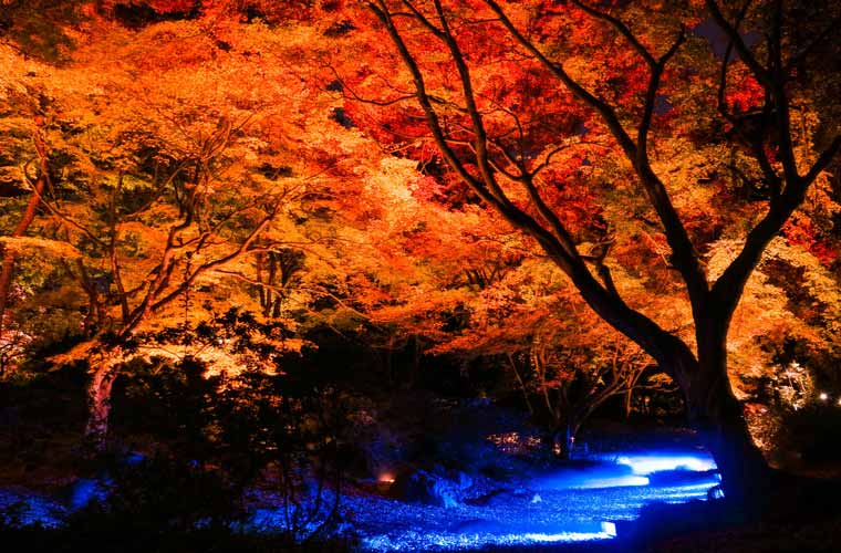 六義園