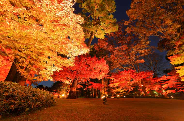 大田黒公園