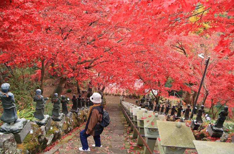 大山寺